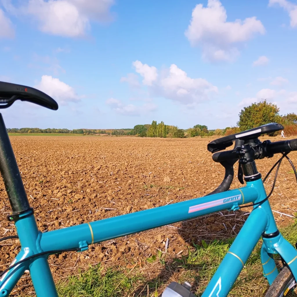 IMG_20251022_235652_455